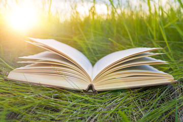 an open book on the green grass, a glare of the sun. Concept training, education, back to school. reading books in the park outdoors