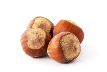 Hazelnuts on white background