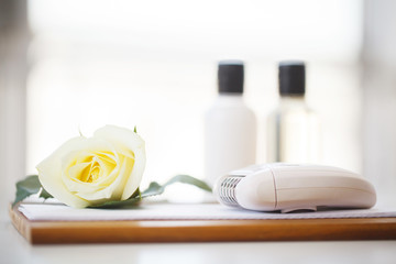 Wellness Products and Cosmetics. Spa still life with blossoms of rose and essential oils