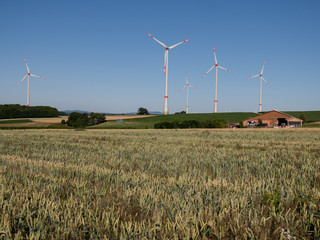 Windpark mit Windrädern und Getreidefeld