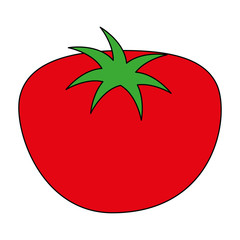 fresh tomato healthy food vector illustration design