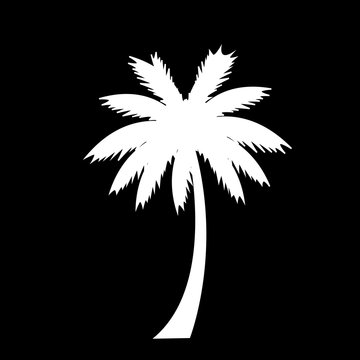 white silhouette of palm tree icon isolated on black background.