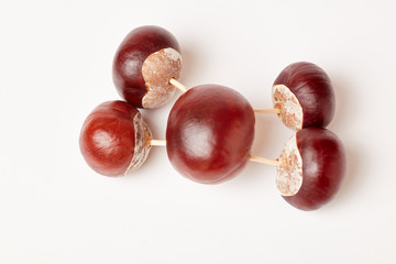 Auto als Kastanienfigur basteln im Herbst