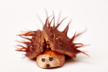 Lustigen Igel basteln als Kastanienfigur im Herbst