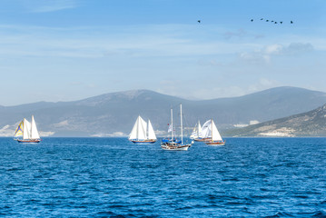Fototapeta premium Didim, Turkey, 22 October 2010: Bodrum Cup Races, Gulet Wooden Sailboats