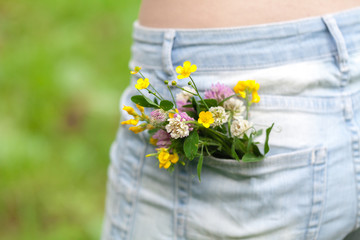 flower in a large pocket of jeans trousers, summer concept