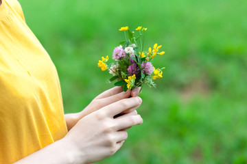 Fototapeta na wymiar Woman holding wild flowers