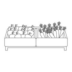 supermarket wooden shelf with carrots and apples vector illustration design