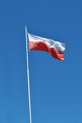 Polska flaga na tle błękitnego nieba