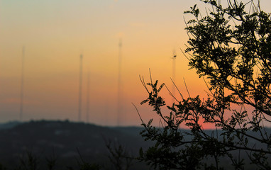 Fototapeta premium SPIDER ON SUNSET