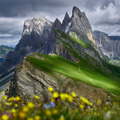 Dolomites meadow Seceda