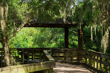 WOOD BRIDGE OVER THE WOODS