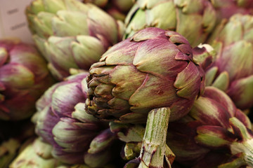 Green and purple fresh globe artichokes