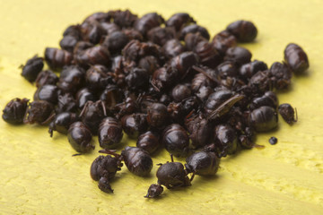 Pile of edible roasted flying ants on table