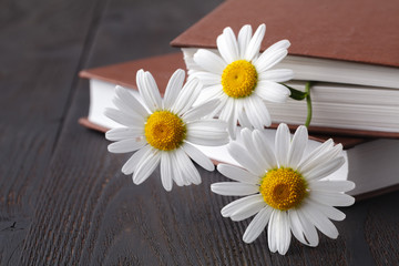 Obraz premium bouquet of white daisies on old book