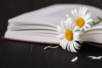 Obraz premium books with bouquet of flowers