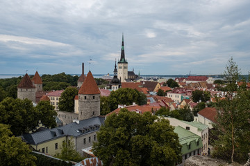 Obraz premium Tallinn landscape