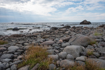 Fototapeta na wymiar Pebbles on Baltic coast