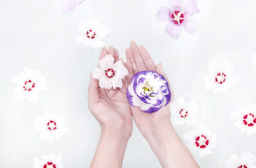 Spa treatment for hands