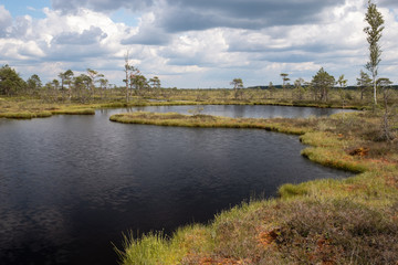 Soomaa national park