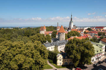 Obraz premium Tallinn cityscape