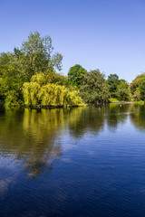 Lake in St Stephen Green Park