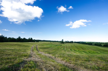 Summer landscape with country road in the field of green grass and clouds