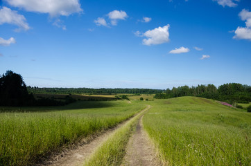 Fototapeta na wymiar Summer landscape with country road in the field of green grass and clouds and shadows on the ground