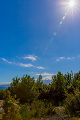 Obraz premium オソルノ山 