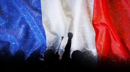football supporters with raised hands against France flag - crowd in stadium celebrating victory