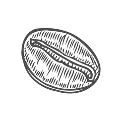 Vintage coffee bean