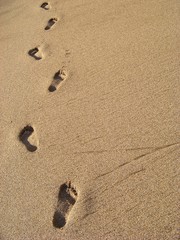 A Walk in the Sand