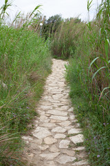 Cobblestone Pathway in the middle of green high grass, Worn Rocky Trail of Stone and Rocks Surrounded by Vegetation and Plants, Old Natural Walkway into the Fresh Spring Herbs at the Sunny Square