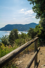 Fototapeta na wymiar Vertical View of the Cliff in the Path connecting Vernazza to Monterosso.