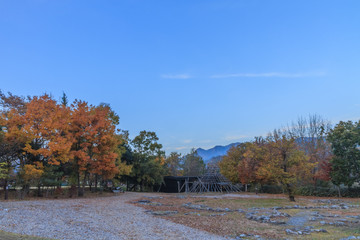Obraz premium 秋の矢瀬遺跡の風景