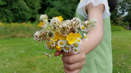 Girl holding flowers picked in grass field