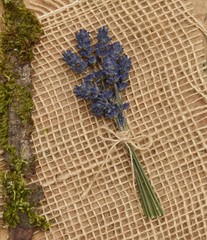 Lavender, burlap, moss, bark and paper