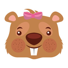 cute girl beaver funny animal