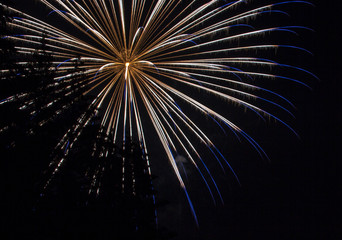 Obraz premium White Fourth of July Fireworks through the trees on Lake Sawyer in Washington State