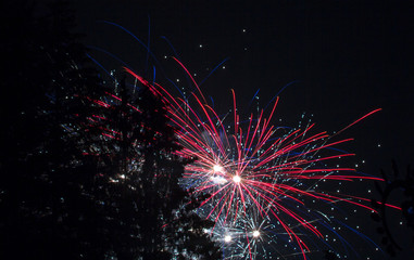 Electric Red Fourth of July Fireworks Througth the Trees on Lake Sawyer in Washington State