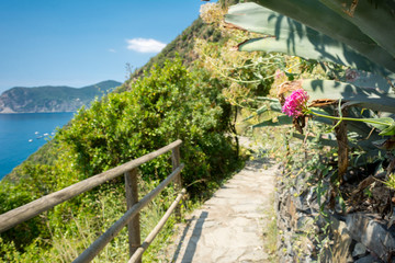 Horizontal View of the Path between Corniglia and Vernazza at Summer.