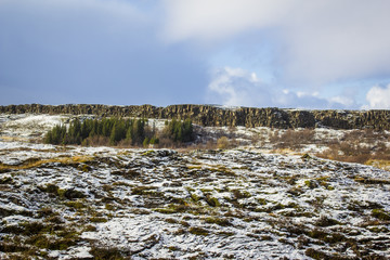 Tundra Peeking through the Snow in the Wilderness of the Golden Circle of Iceland