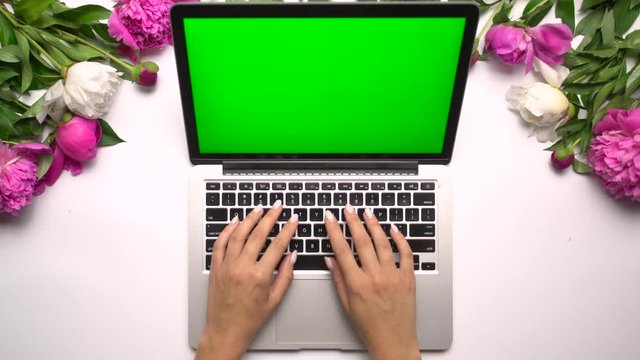 Woman tapping on the laptop computer keyboard with green screen. Bouquet of peony flowers on white background. Chroma key. Top view. Copy space. Flat lay