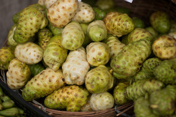 Noni Fruit for sale at the popular fair