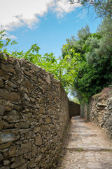 Fototapeta na wymiar Vertical View of the Path between Corniglia and Vernazza at Summer.