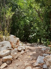 ancient ruins in the nature