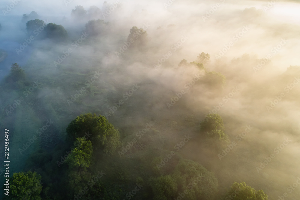 Wall mural Fog over meadow