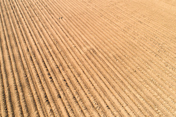 Fototapeta na wymiar Plowed field texture