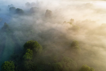 Fototapeta na wymiar Fog over meadow