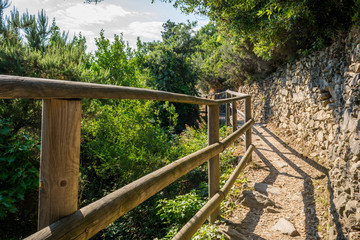 Horizontal View of the  Path in the Forest in the Mountains  from Vernazza to Monterosso.